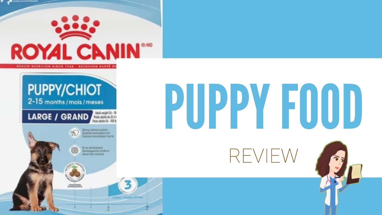 Royal Canin Large Breed Puppy: обзор корма для собак