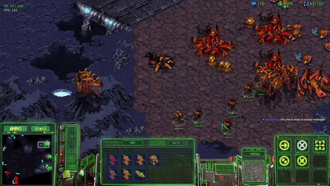 No cam Zerg stream from Seoul