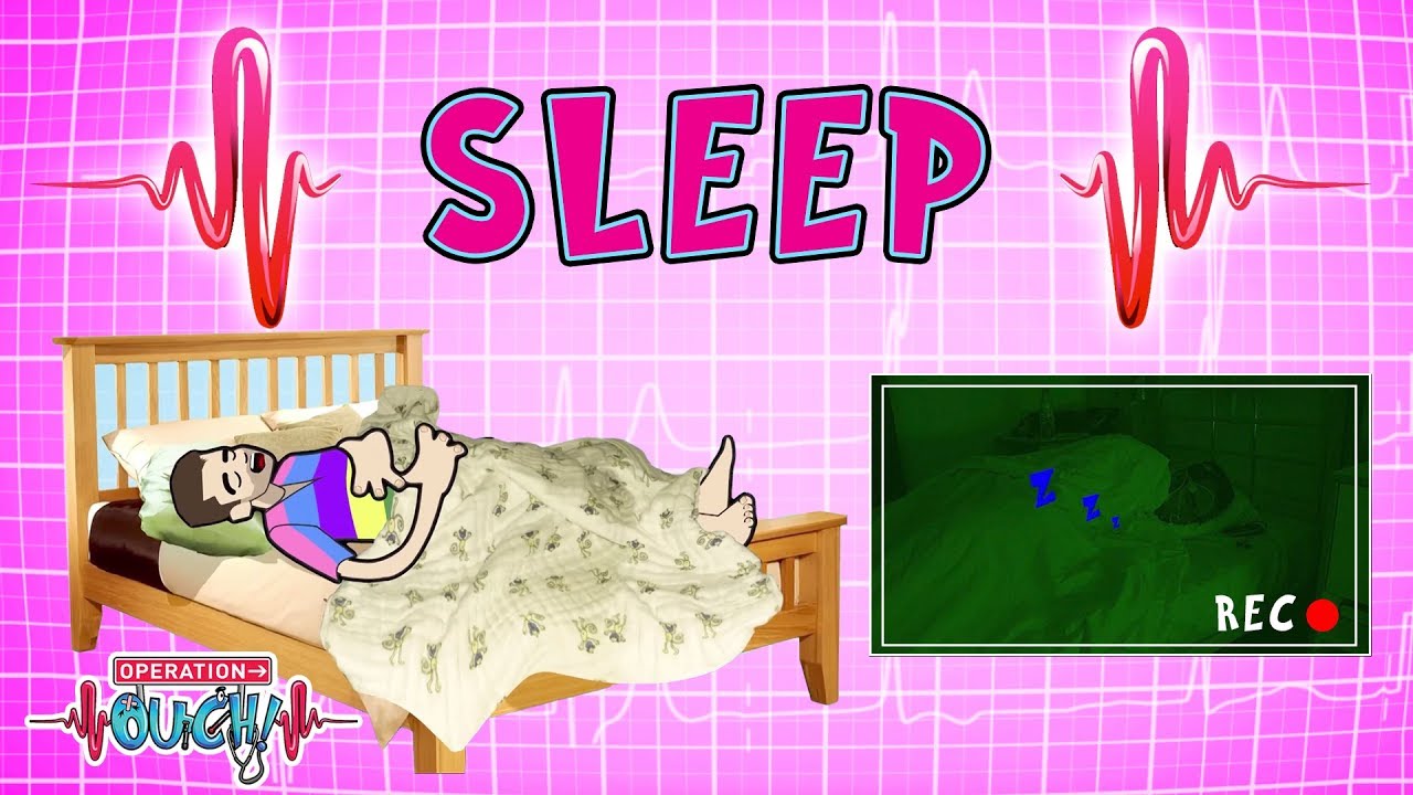 Operation Ouch - Studying Sleep | Endocrine System