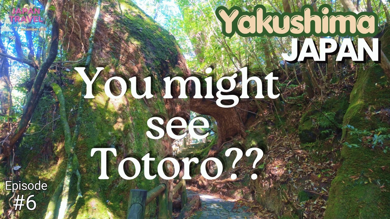 Japan Travel DEC-2025 EP #6  I Ghibli World  I Yakushima Island  ①