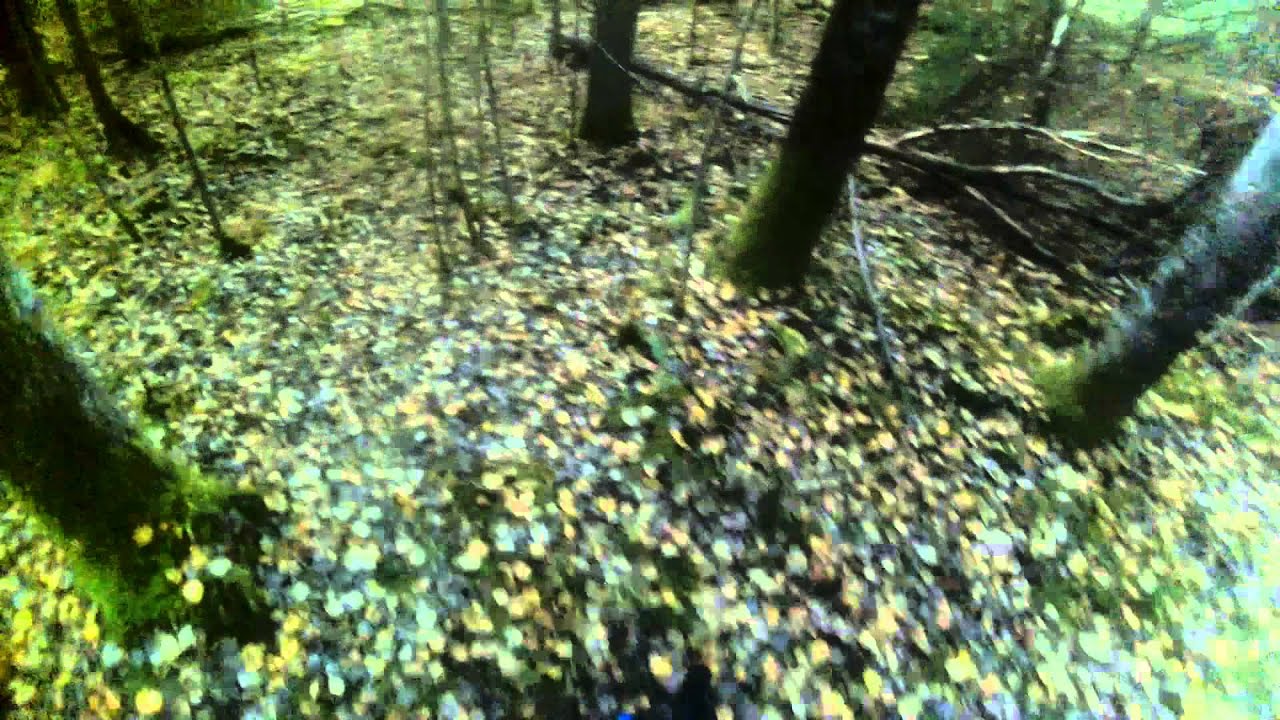 Martin Downhill Hardcore