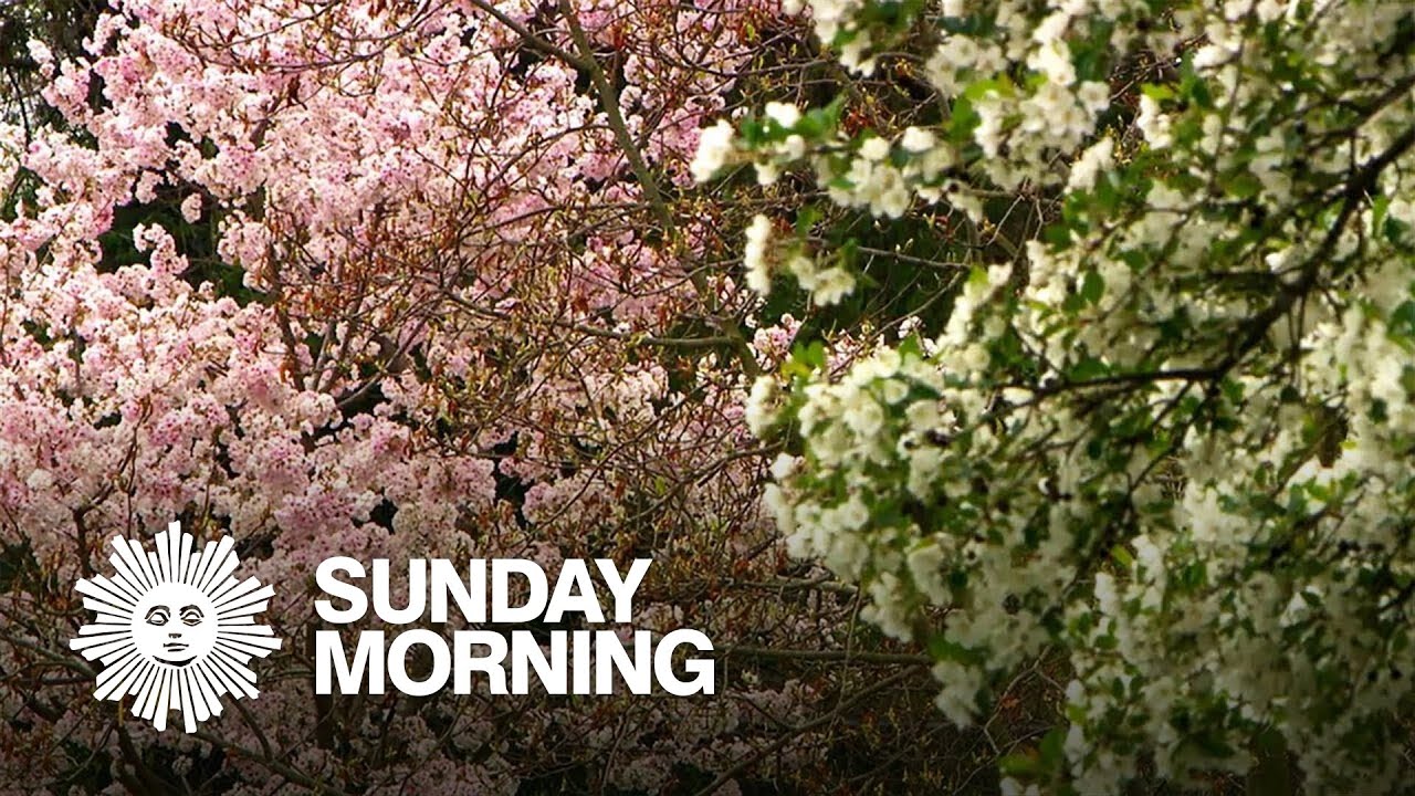 Nature: National Arboretum