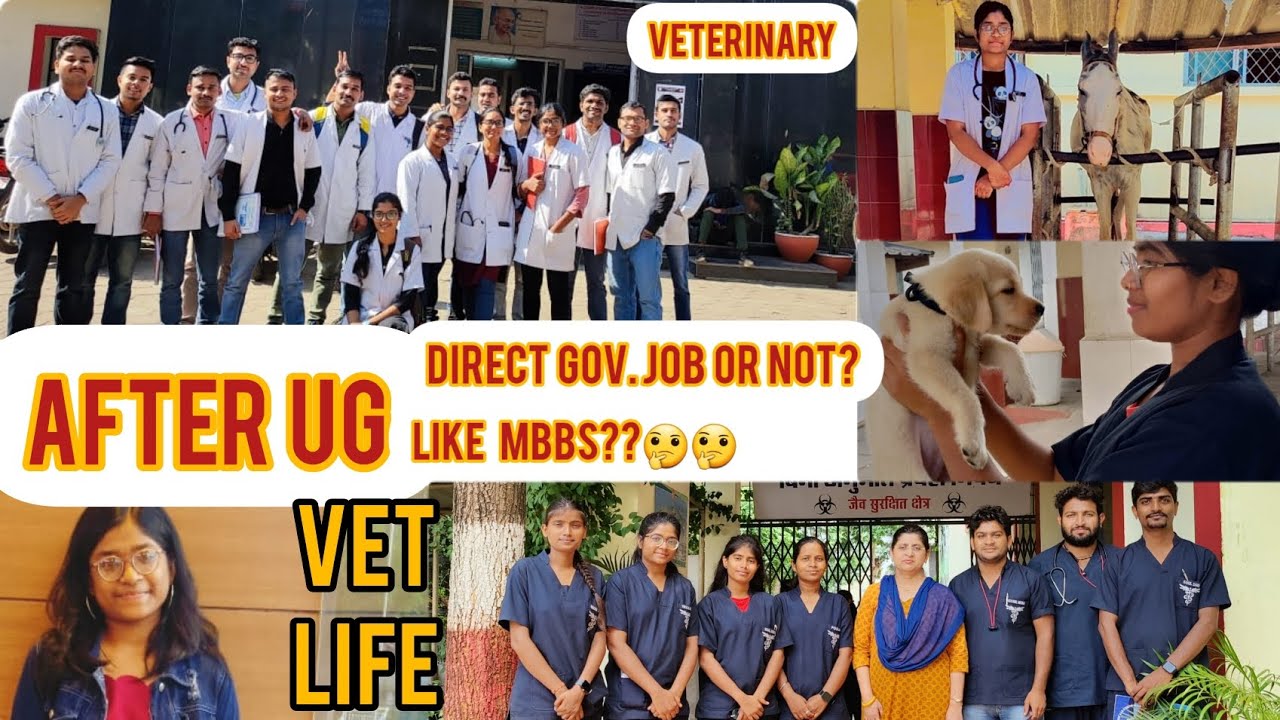 After UG direct veterinary Government job or not??just like mbbs👩&zwj;⚕️💉🩺🐶