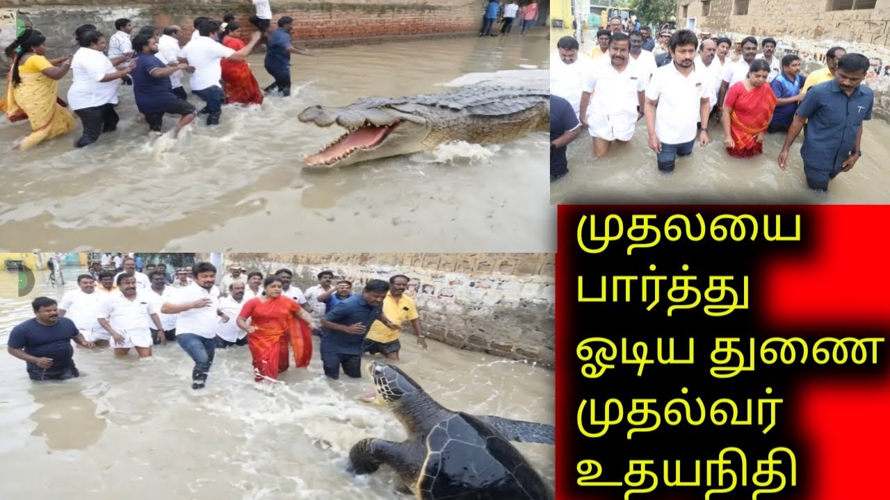 Uthayanithi trolls comedy video / A1 video / political comedy video