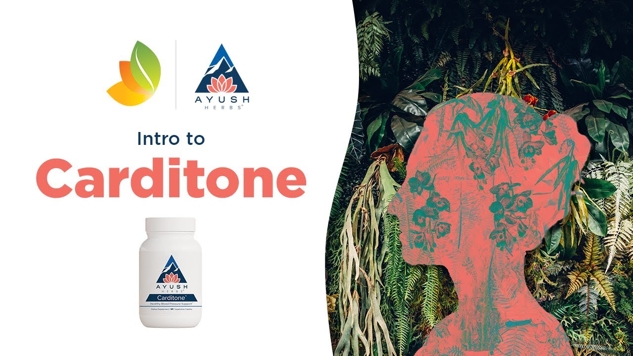 Ayush Herbs Carditone - What Can it Do?