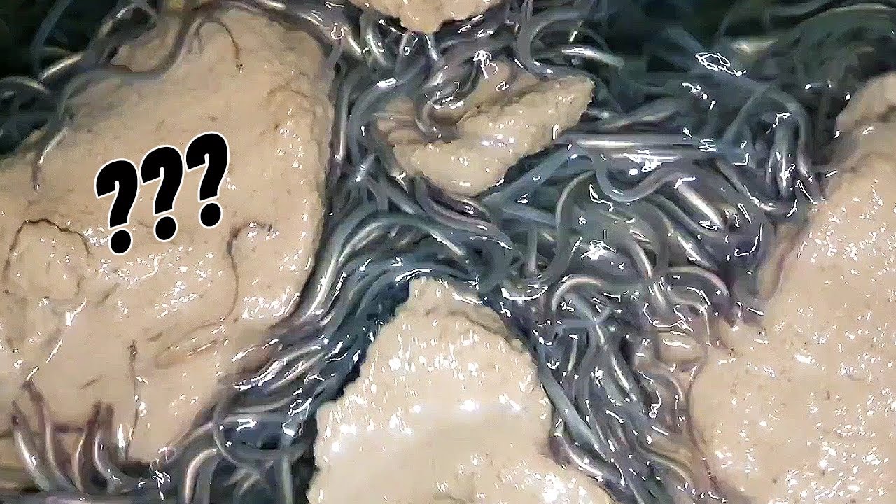 이걸로 4개월 동안 X억 X천만원을 벌었다고 ㄷㄷ