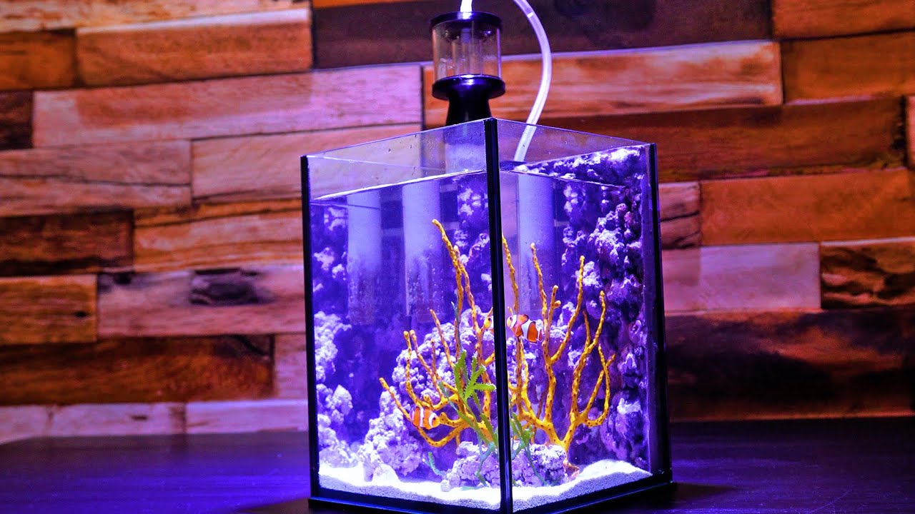 【海水魚】15×15×20cmの小型水槽にヤギとカクレクマノミの住まいを作る【人工ライブロック】