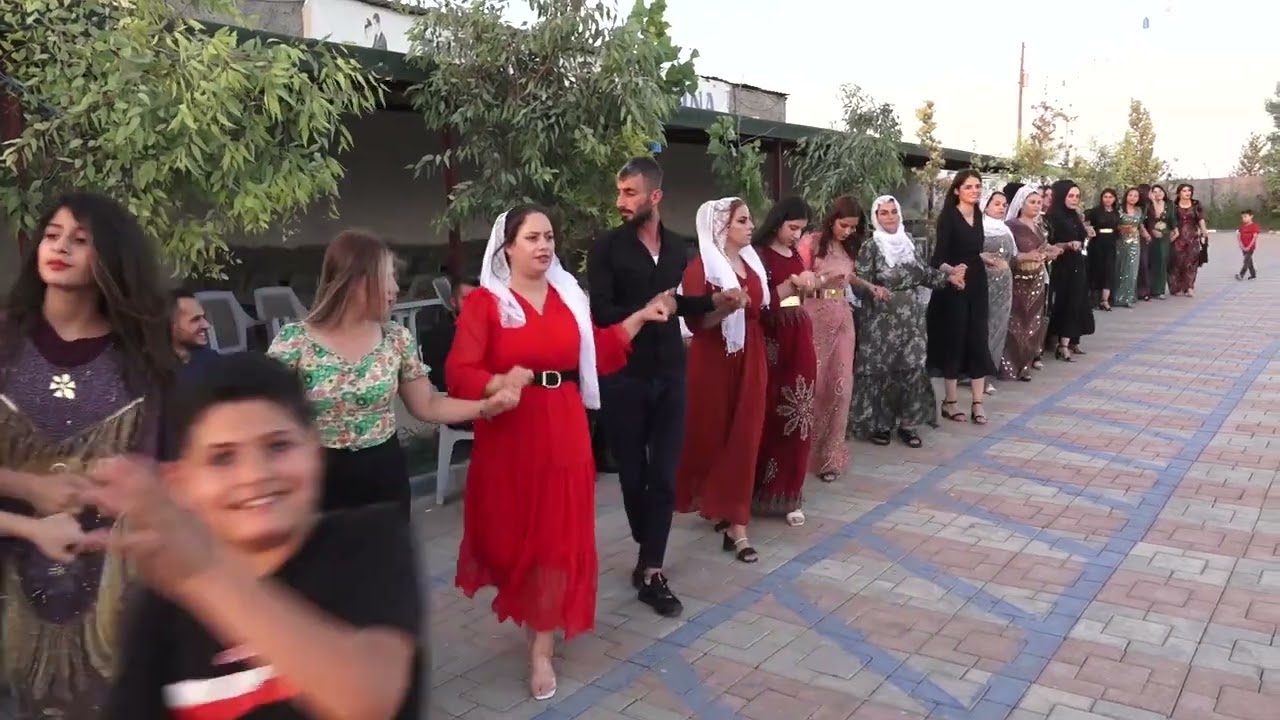 Nızam Kocabey Düğünü Part 1 ( Grup Welat Silopi ) 2022