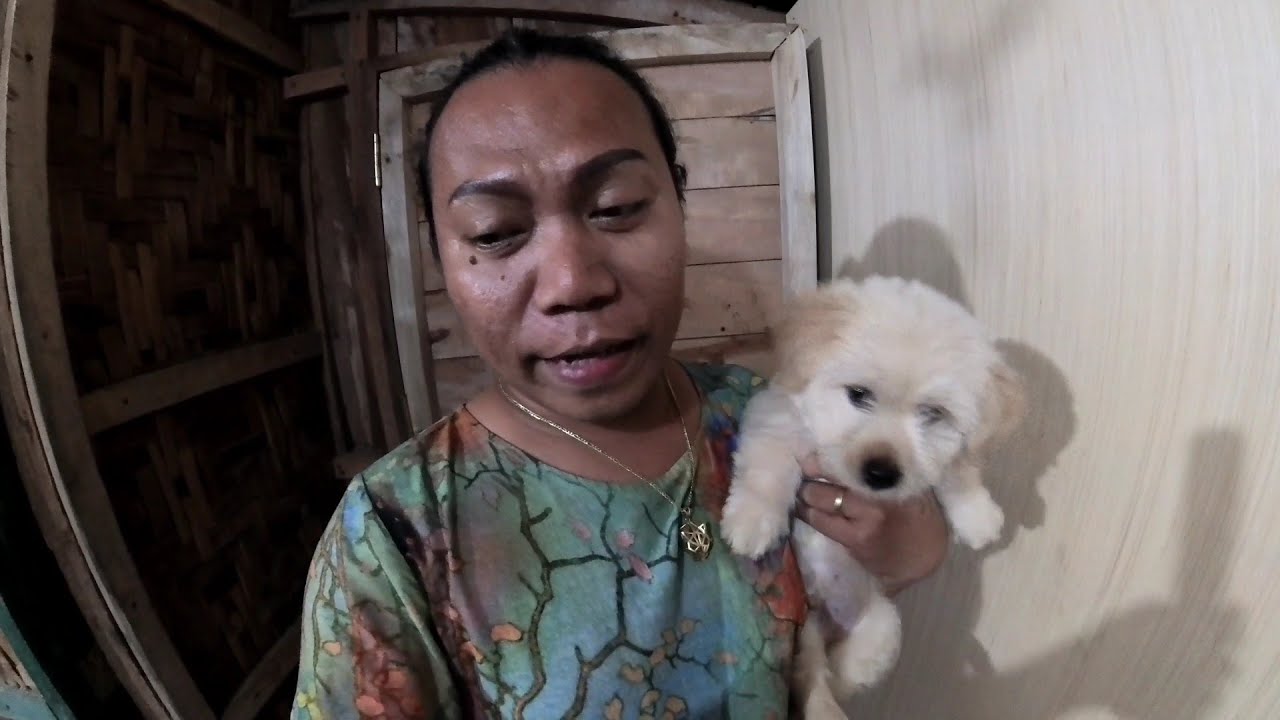 BUO NA ANG AKING DESISYON KAILANGAN KUNA ITO IBIGAY