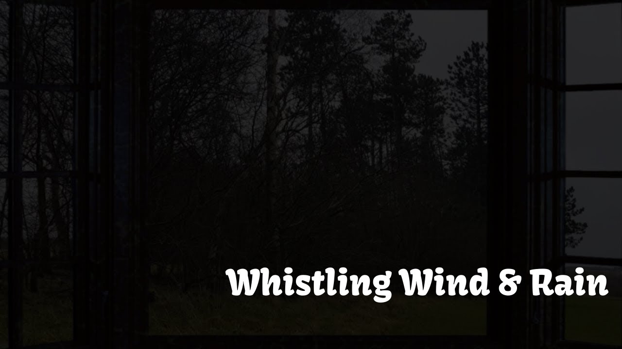 Wind Whistling Through Window With Rain / Relaxing Howling Wind for Two Hours - Dark Screen (Loud)