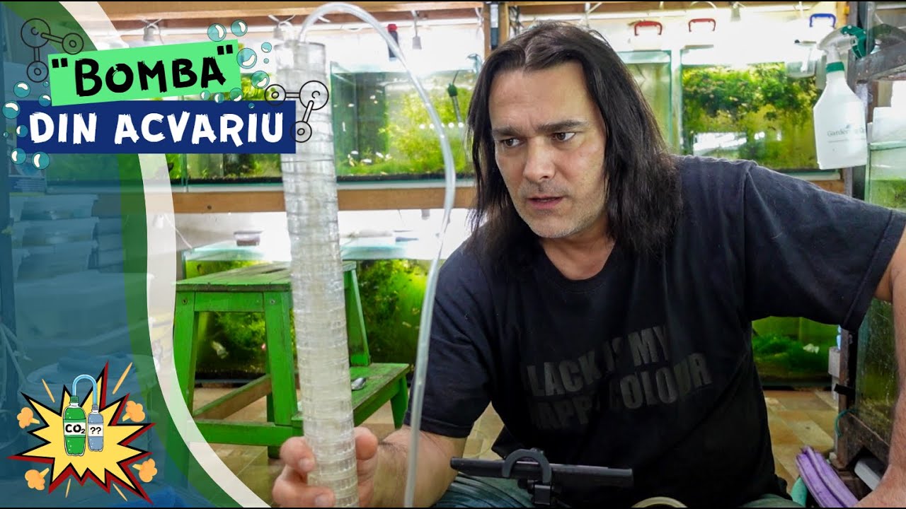 CO2 ieftin DIY pentru acvariu