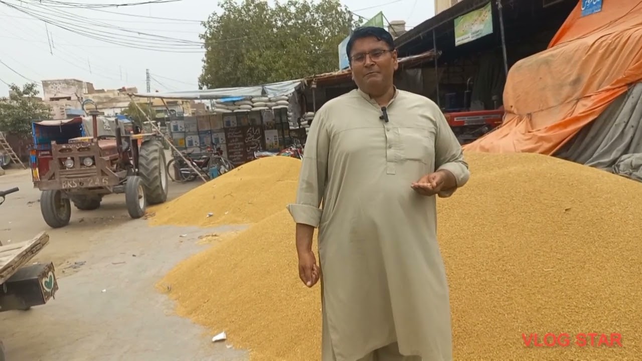 ڈیلی ریٹ اپڈیٹ گندم سرسوں غلہ منڈی فورٹ عباس محمد عمران کے ساتھ 26/06/2024