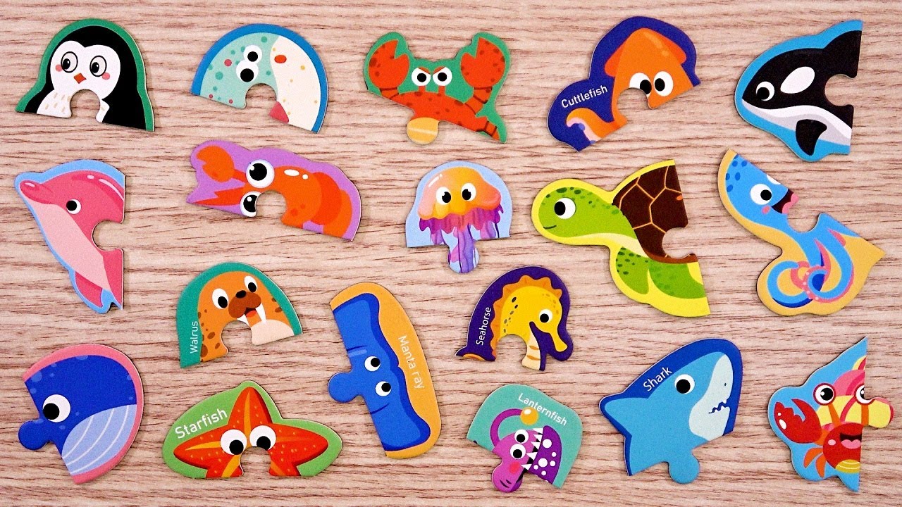 바닷속 해양 동물들 퍼즐 카드 장난감의 짝을 맞추고 바다생물의 모습과 영어 단어 배우기 Learn Sea Animals Appearance and Name with Puzzles