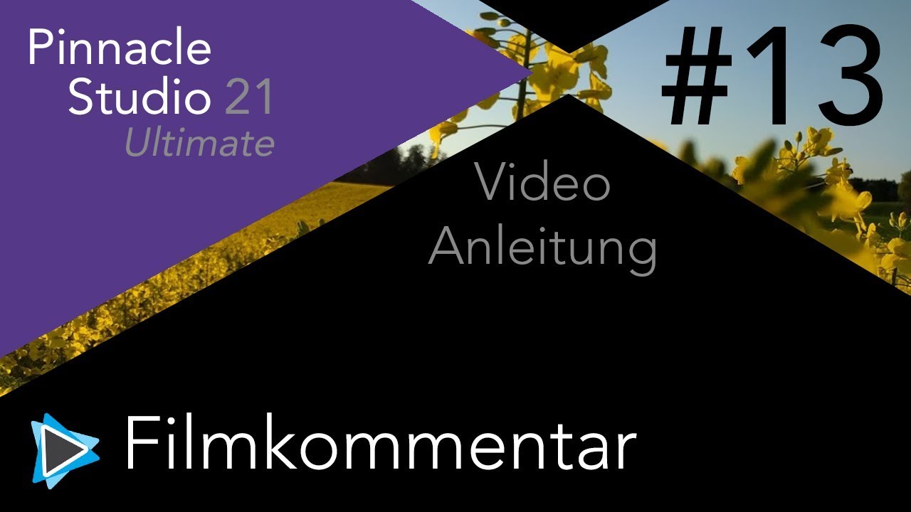Mikrofon und Filmkommentar aufnehmen in Pinnacle Studio 21 Video Tutorial Deutsch #13