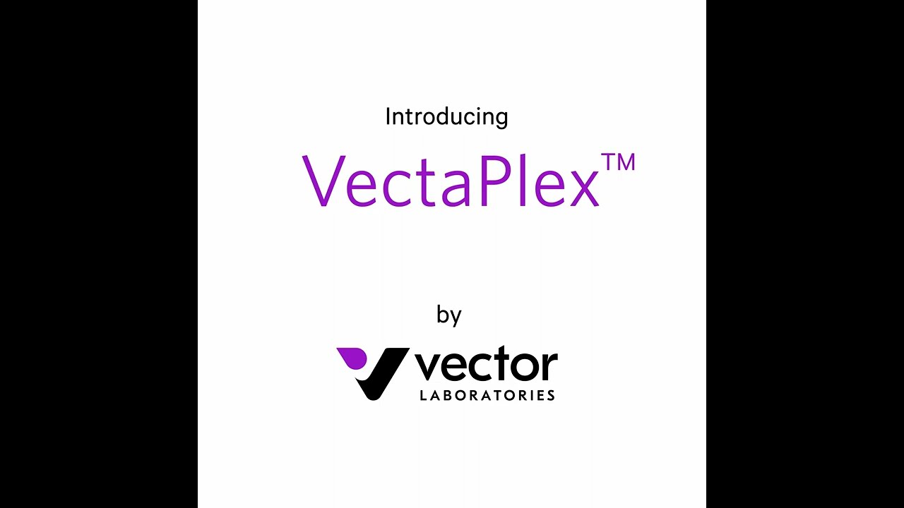Best Antibody Removal for Easy Multiplexing in Immunofluorescence and Tyramide Workflows: VectaPlex&trade;
