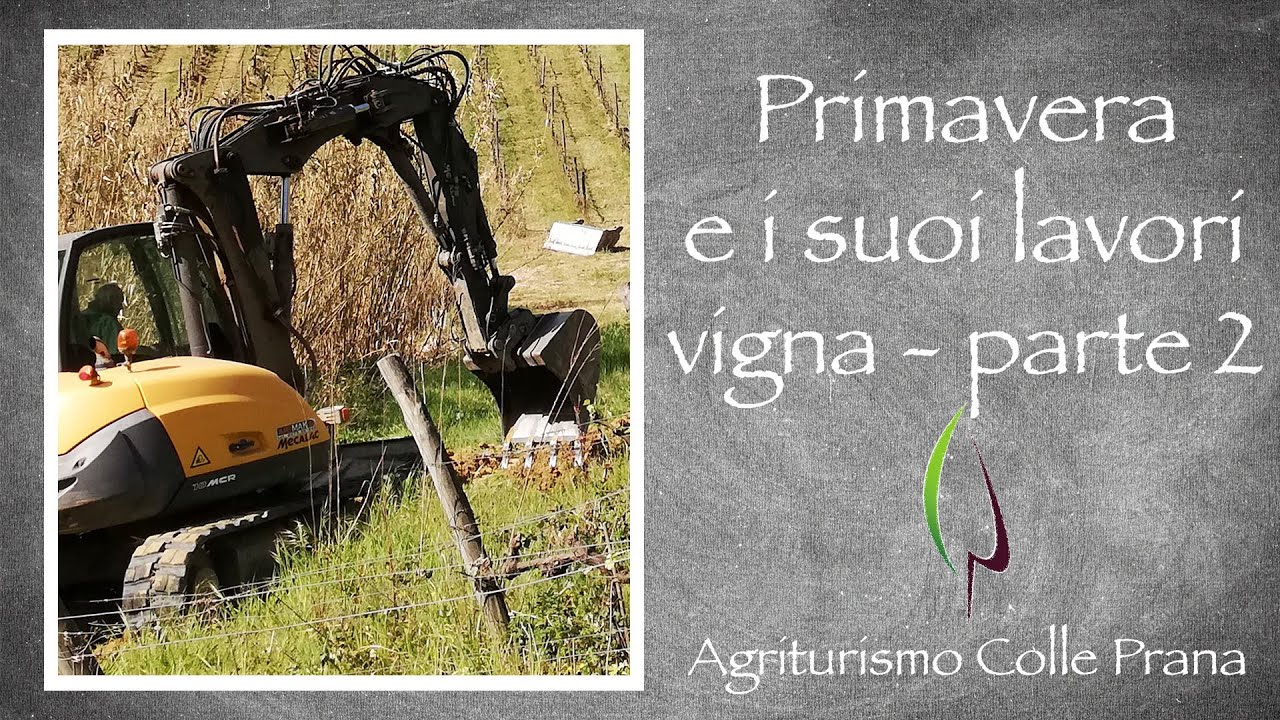 I lavori primaverili in vigna - Agriturismo Colle Prana