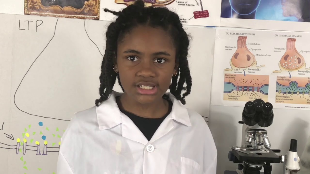 Long-term Potentiation: You can learn anything | Amoy Antunet | TEDxYouth@Frisco