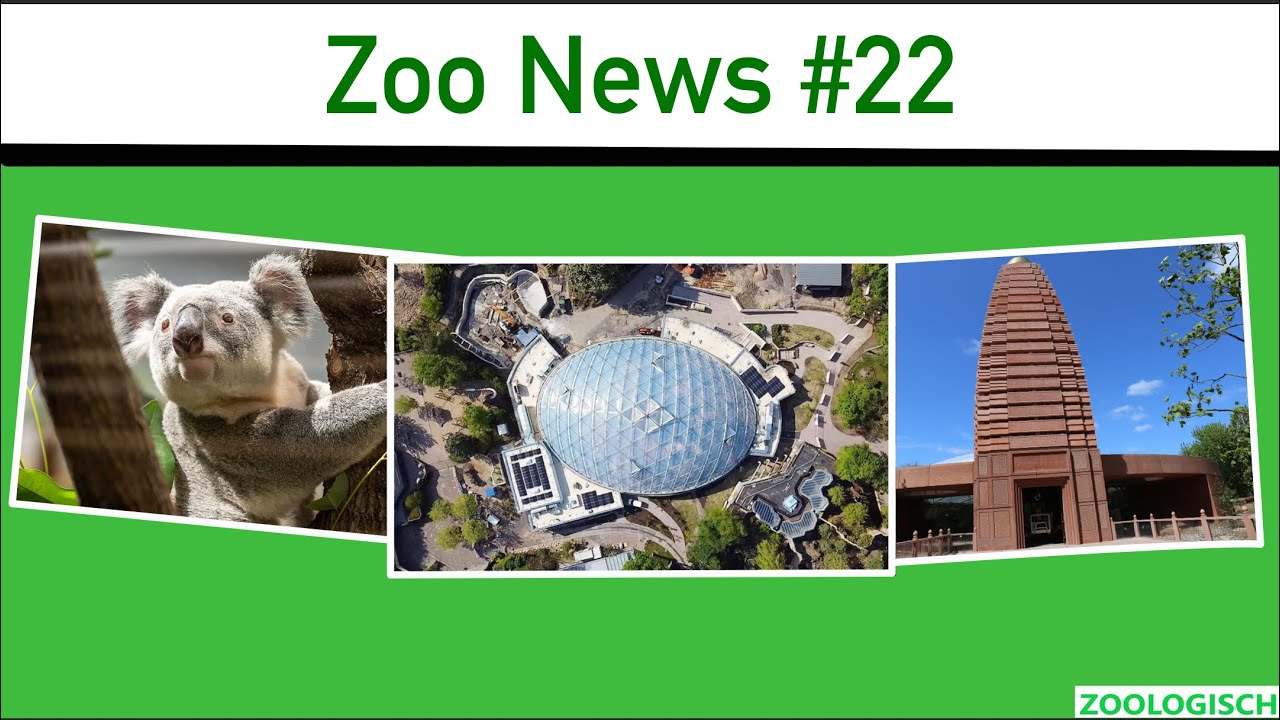 Terra Australis, Meranti-Halle, Nashorn-Pagode und mehr | Zoo News #22