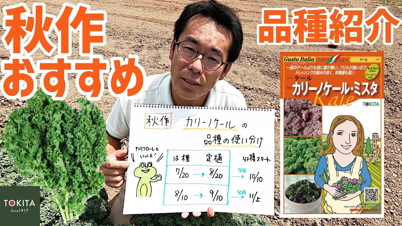 【家庭菜園】トキタ種苗の秋作おすすめ品種紹介！カリーノケール編【直売所出荷】