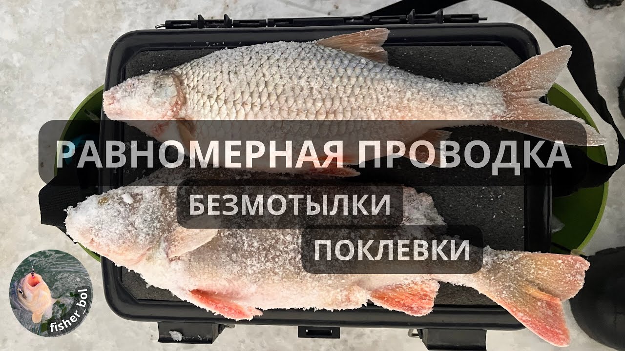 Способы проводки. Безмотылка для начинающих, поклевки Разрез