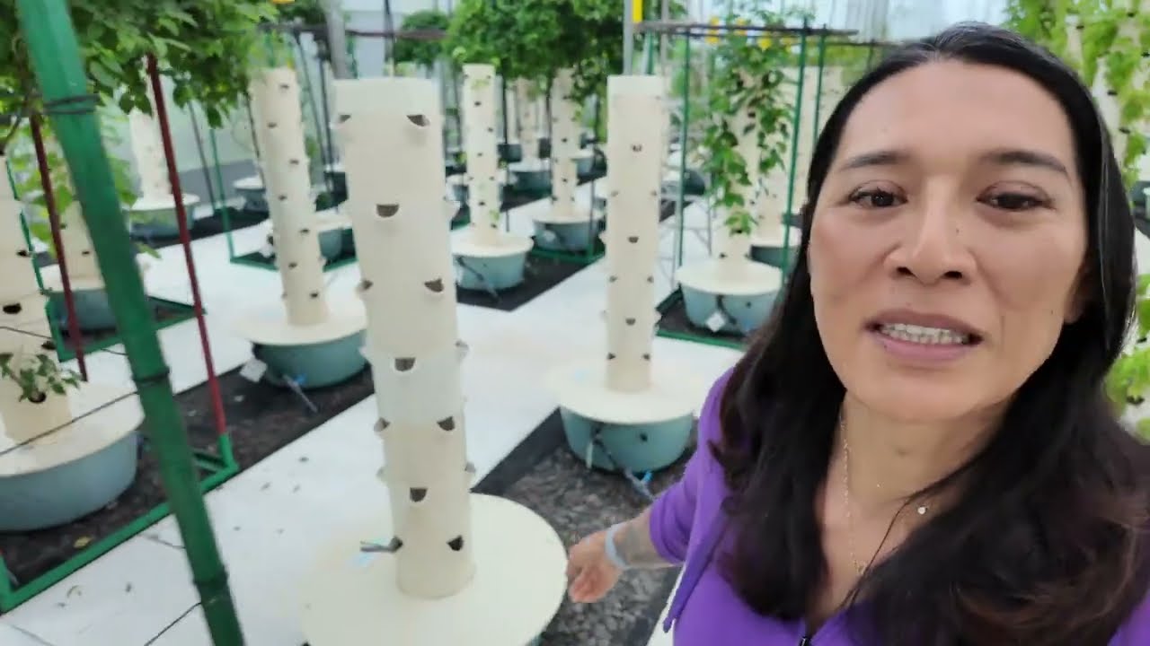 IRL Farmville | King Tower Farm 2026