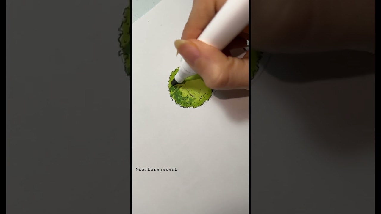 Vegetación en planta para arquitectura
