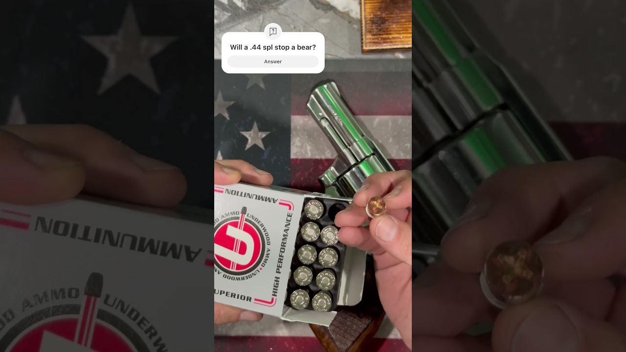 Will a .44 spl stop a bear?  #selfdefense