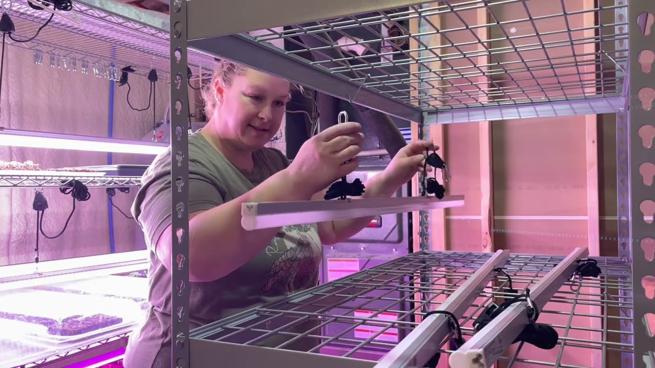 Germination Room Grow Light Set Up (a winter day in the life vlog)