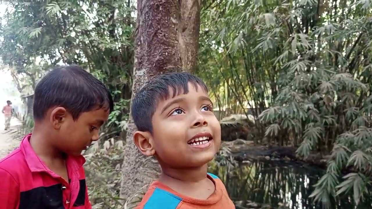 গ্রাম ও শহরের সকালের পরিবেশ Morning atmosphere in villages and cities 
