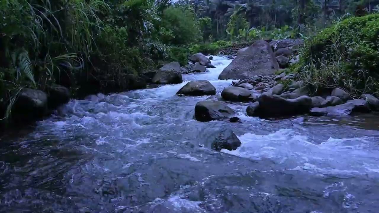 Soothing Streams for Sleep and Meditation