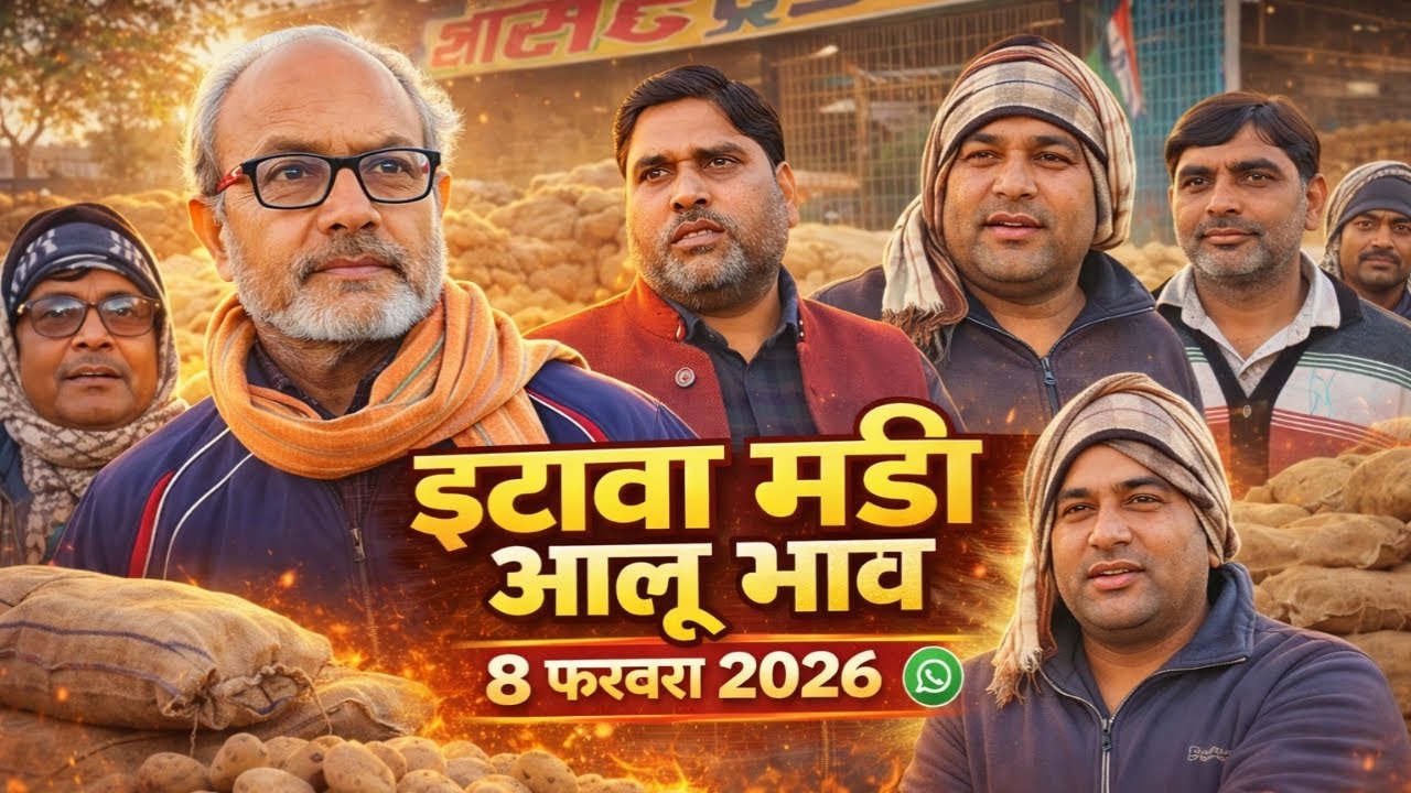 इटावा मंडी आलू भाव आज | 8 फरवरी 2026 | आलू के ताजा रेट | Aalu Bhav Etawah Mandi
