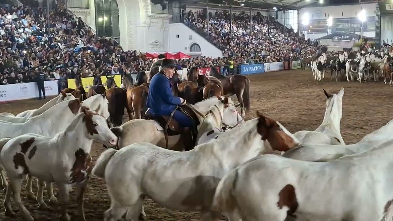 @SociedadRuralArgentinaOK #gauchos #caballos #horse #parati #tradiciones #argentina 