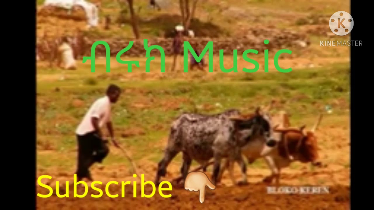 Eritrean old Song   ሓረስታይ ሃገርና  [Harestay hagerna]