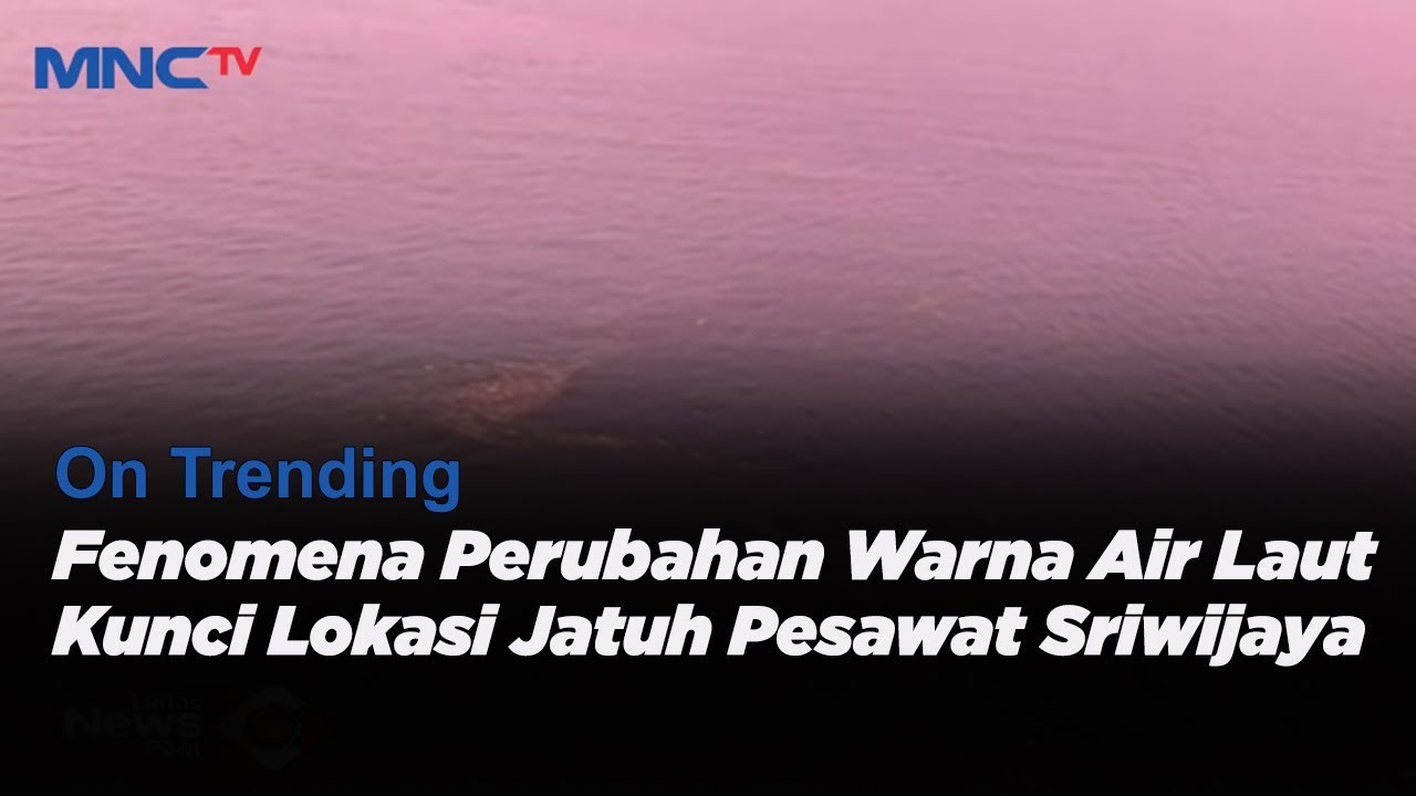 Fenomena Perubahan Warna Air Laut Jadi Kunci Ditemukannya Lokasi Jatuh Pesawat Sriwijaya - LIP 11/01