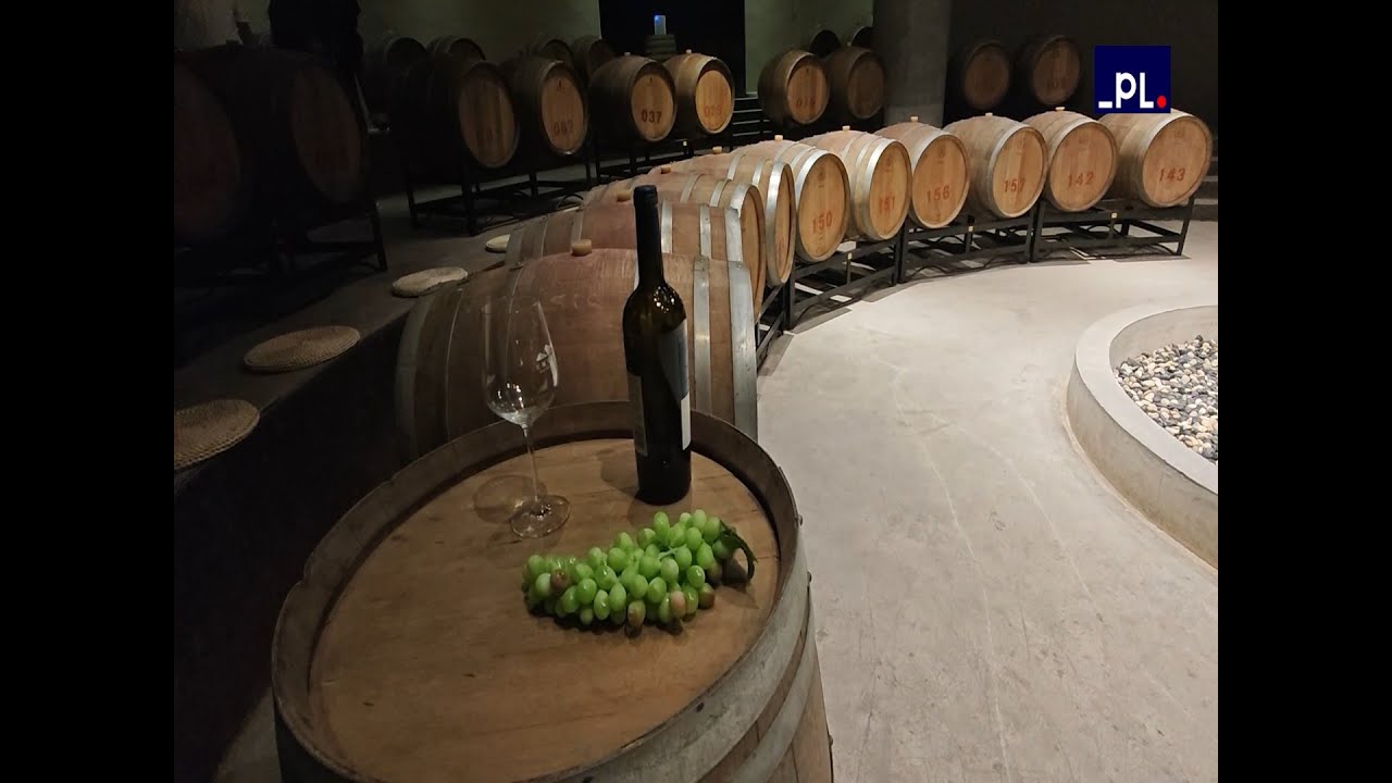 Un paseo por la historia del vino, desde Georgia a Ningxia en China