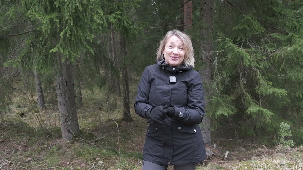 Eijan ajatuksia anteeksiantamisesta ja -saamisesta❤️