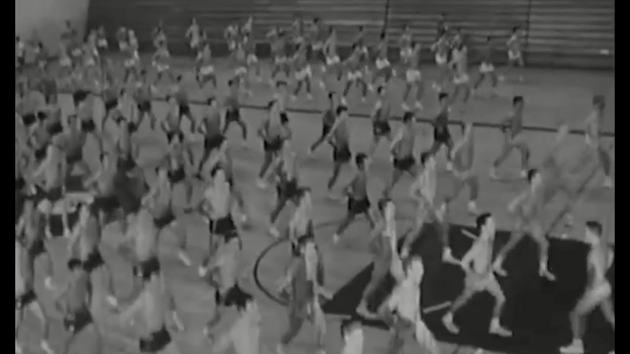 História da Educação Física No Brasil e No Mundo: resumo completo