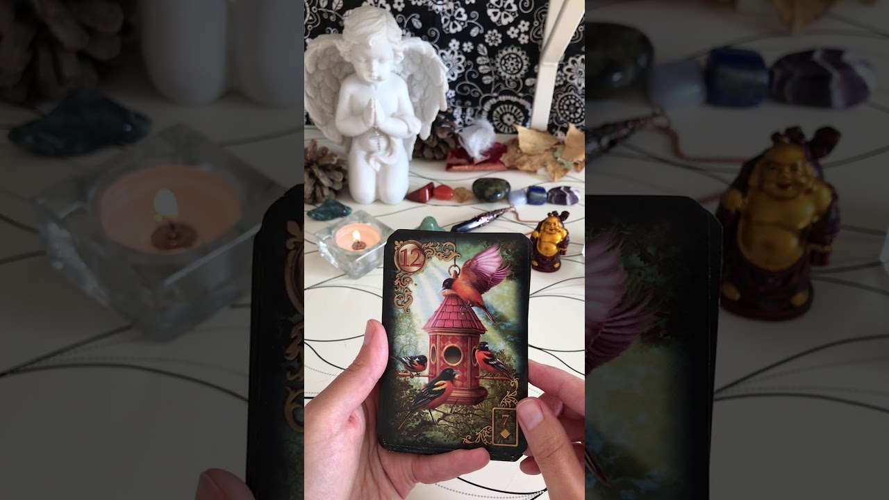 Présentation du jeu des Rêves enchantés de Melle Lenormand