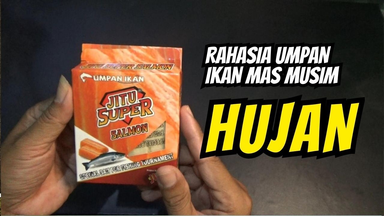 RAHASIA UMPAN IKAN MAS MUSIM HUJAN || SEKALI LEMPAR LANGSUNG DUA #umpanikanmas #umpanjitu