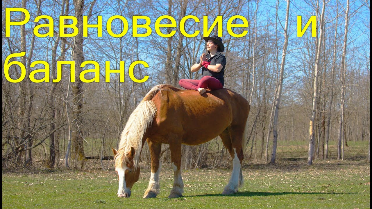 Баланс и равновесие тела всадника в верховой езде.