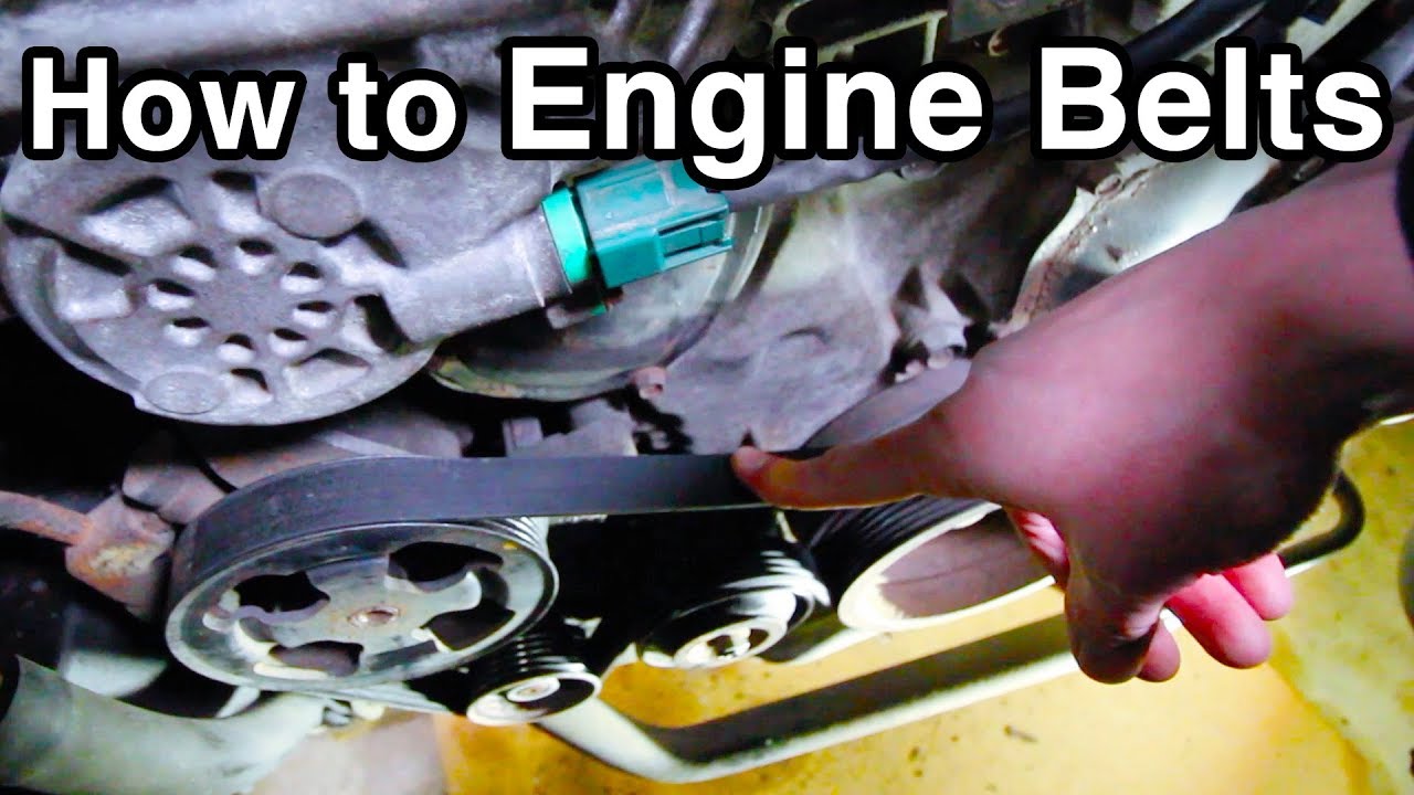 How to Change Engine Belts [Infiniti G35/Nissan 350Z Serpentine Belt] (w/Pro Tips)