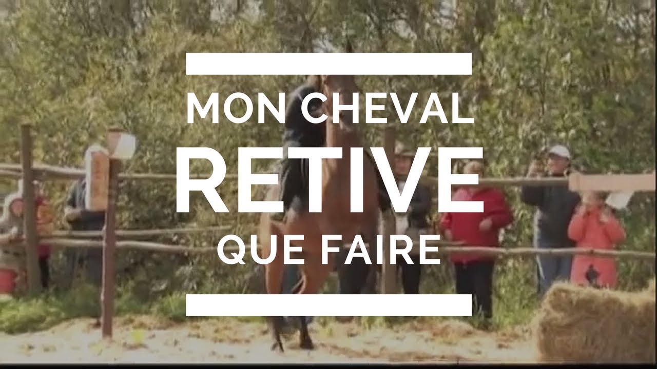 Déverrouiller les secrets du calme : Transformez votre cheval réactif avec des stratégies éprouvées