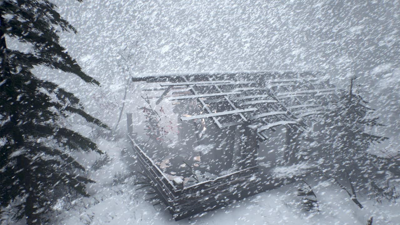 HEAVY BLIZZARD & Howling Wind Sounds for Sleeping. Snowstorm Ambience. Howling Wind, ASMR sleep