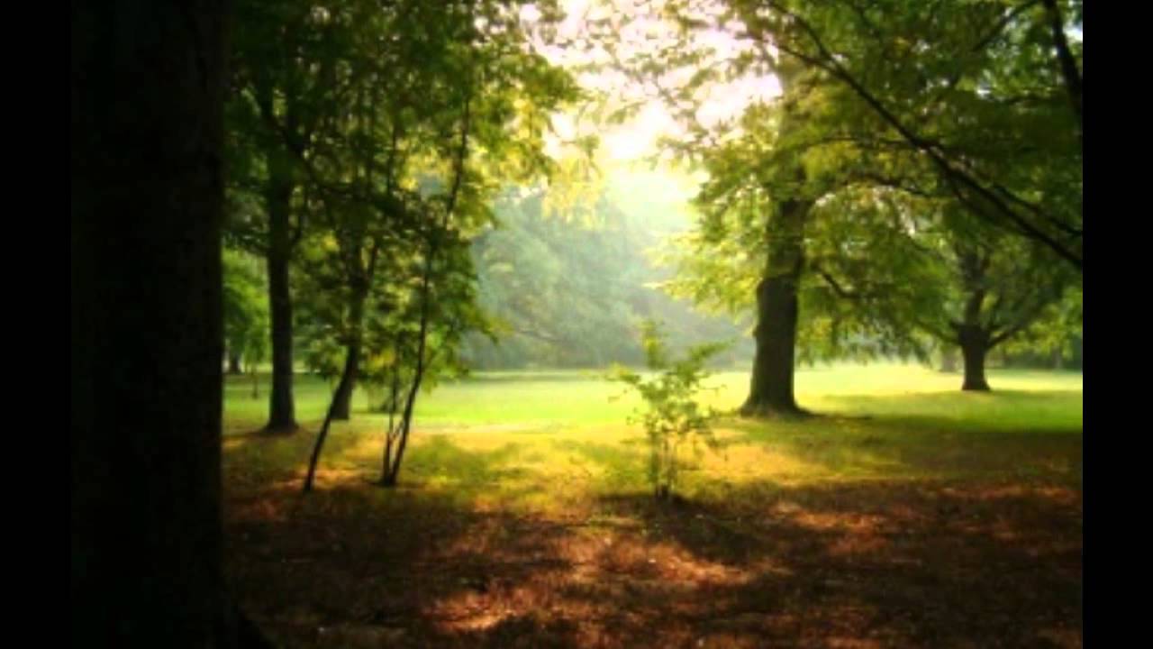 CANCION DE VERANO-Trilogia de Honduras