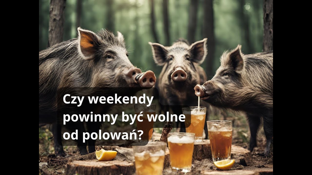Czy weekendy powinny być wolne od polowań?