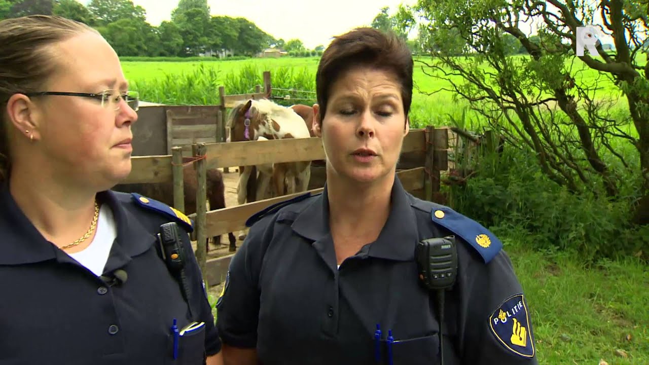 Op surveillance met de dierenpolitie