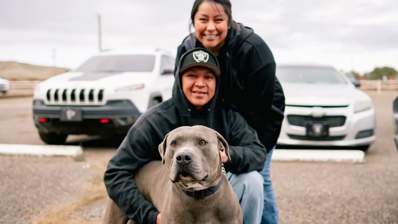 Underdog Project4Awesome 2026 Submission