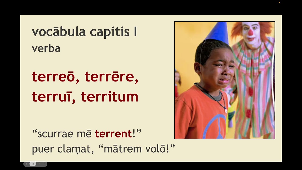 Lectūra prīma: Verbs; 1st & 2nd Conjugations; Adverbs