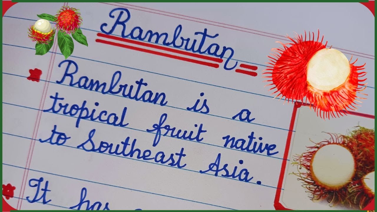 5 Lines on Rambutan Fruit | Learning About Rambutan Fruits in English | Overview on Rambutan Fruit✨