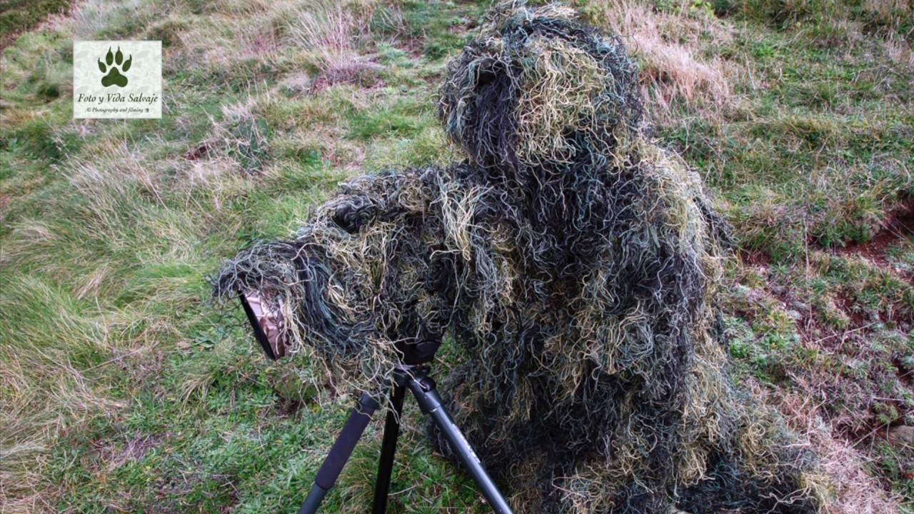 FOTO Y VIDA SALVAJE  Photography And Filming  FAUNA Y PAISAJE DE ASTURIAS